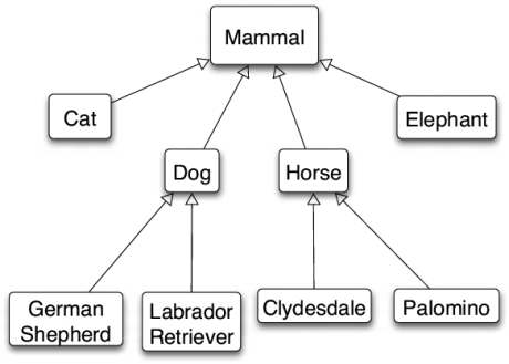 Animal interface